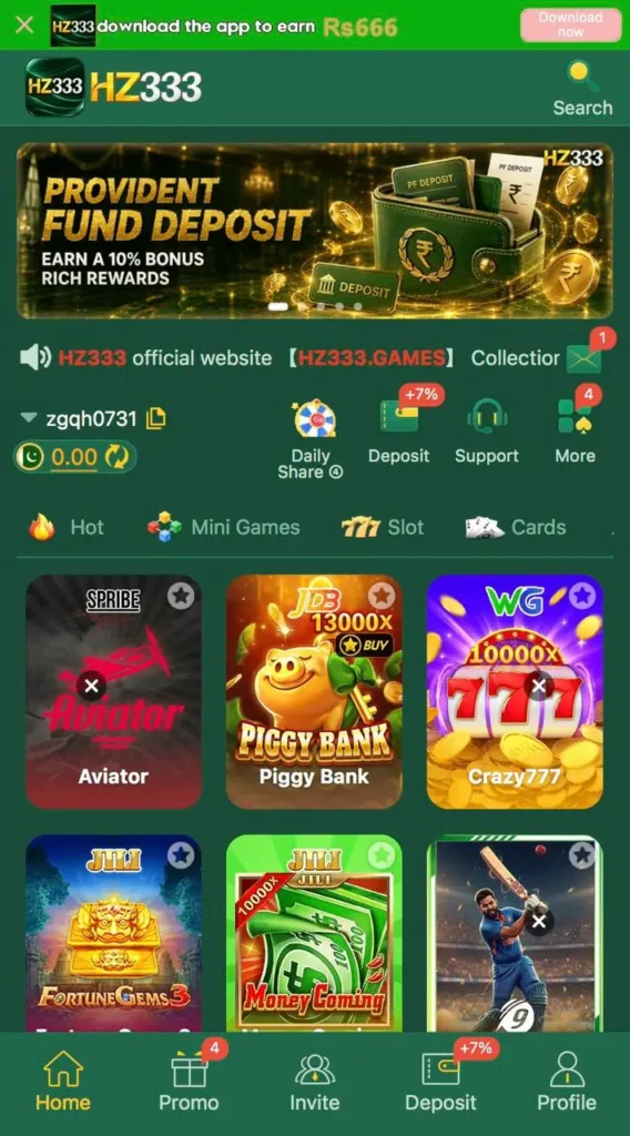 Hz333 game