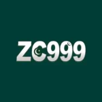 zc999 game